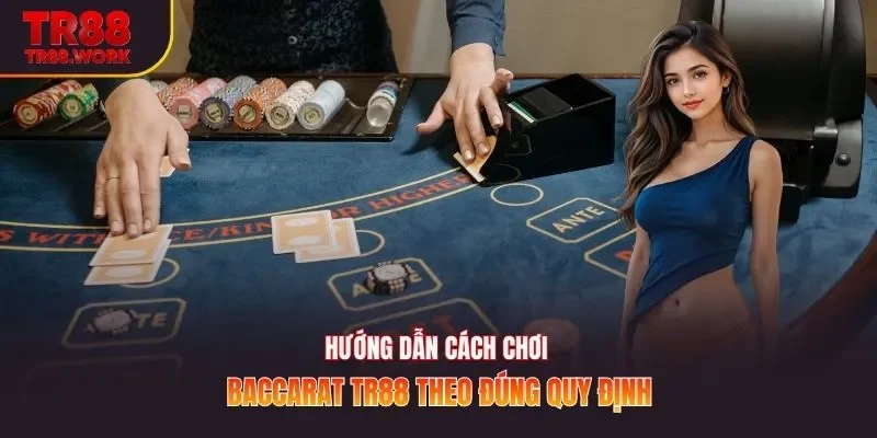 Hướng dẫn cách chơi baccarat TR88 theo đúng quy định