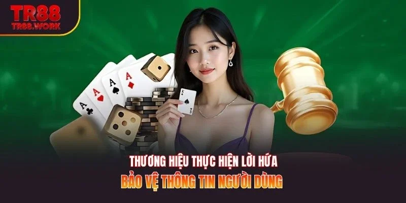 Thương hiệu thực hiện lời hứa bảo vệ thông tin người dùng